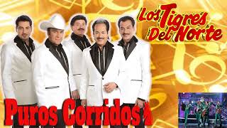 Los Tigres Del Norte Corridos Prohibidos Album Completo [upl. by Kcirded547]