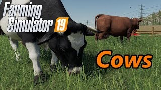 Making grass bales amp spreading manure  Animals on Ellerbach  Farming Simulator 19  Episode 43 [upl. by Hokanson]