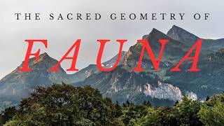 Sacred Geometry Explained  Fauna [upl. by Carlos]