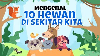 Mengenal 10 Hewan Di Sekitar Kita [upl. by Zacharias]