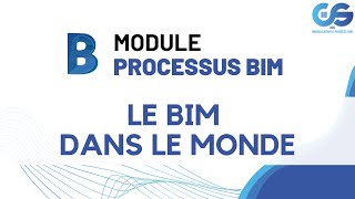 LE BIM DANS LE MONDE [upl. by Belding]