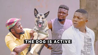 The Dog Is Active Best Of Mark Angel Comedy [upl. by Esinahs]