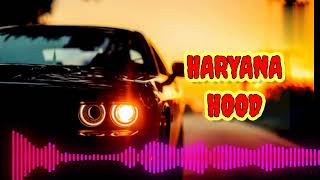 Haryana Hood slowed Reverb Irshad Khan  Desi Balak Gama Ke  New Haryanvi Songs lofi Song [upl. by Yllut]