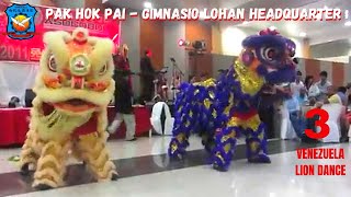 DANZA DEL LEON  PAK HOK PAI  LAMA KUNG FU  TIBETAN WHITE CRANE  GRULLA BLANCA  LION DANCE  白鶴派 [upl. by Hahsia]