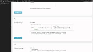 W3 Total Cache Minify Settings [upl. by Aelanna]