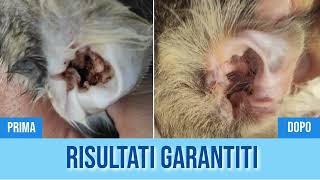 Otorì è qui Detergente auricolare risolutivo per cani e gatti [upl. by Nugent]