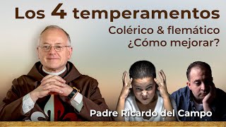 Los Temperamentos Colérico y Flemático 🕊️ Padre Ricardo del Campo temperamento [upl. by Frasier]