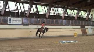 Galop 4 Varier lamplitude au trot [upl. by Ideih399]