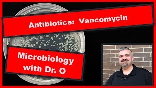 Vancomycin and VRE Microbiology [upl. by Elledoj365]