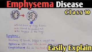 Emphysema  Cause Treatment and symptoms  Class 11 Biology [upl. by Allix]