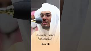 Powerful recitation  Surah Waqiah  Sheikh Yasser Al Dosari ياسرالدوسري recitation [upl. by Wills]