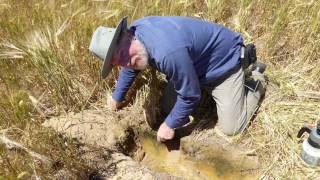 Tips to manage subsoil acidity with liming  C Gazey  2017 Know More series  Western Region [upl. by Steinman]