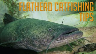 How to Catch Flathead Catfish [upl. by Arawaj]