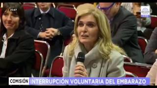 Aborto Alberto Kornblihtt deja en evidencia la ignorancia de la senadora Silvia Elías de Pérez [upl. by Ignatia]