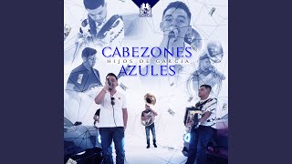 Cabezones Azules [upl. by Kalila]