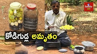 Kodigudla Amrutham Egg Amino Acid Preparation  Natural Farming  hmtv Agri [upl. by Luedtke]