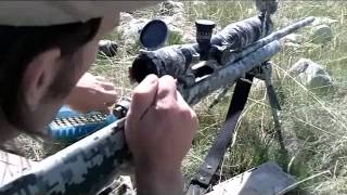 Long Range 101 Part 1  Introduction  Rex Reviews [upl. by Enomsed]