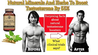 How to Boost Testosterone Levels With These Minerals and Herbs  Clinically Proven [upl. by Balsam582]