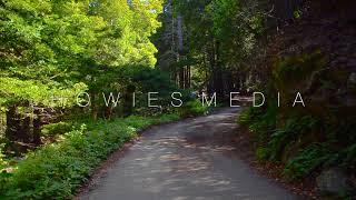 H O W I E S M E D I A Limekiln State park campground [upl. by Einor]