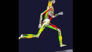 Running biomechanics rotating [upl. by Aihsined]