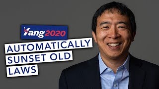 Andrew Yang Explains His Plan to Automatically Sunset Old Laws [upl. by Alliw]