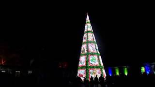 Longleat festival of light christmas tree 08112019 [upl. by Ecnarepmet267]