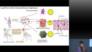 La transplantation de cellules souches et de moelle osseuse  des traitements tournés vers l’avenir [upl. by Damales]