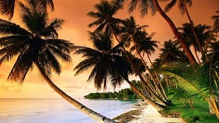 Beautiful Tropical Music amp Caribbean Music amp Hawaiian Music  Island Paradise 🌴 [upl. by Richmal192]