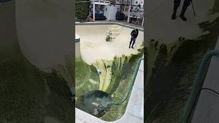 How does an algae cleaning machine work [upl. by Coughlin]