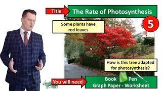 Photosynthesis Limiting Factors and Transpiration  Biology  KS3  Key Stage 3  Mr Deeping [upl. by Ainessej297]