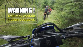 Forest Trail Ride  A day on Enduros in the Scottish Countryside [upl. by Thorfinn]