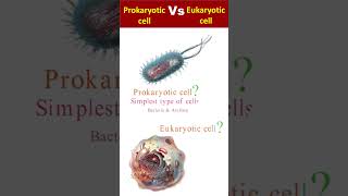 Prokaryotic and Eukaryotic Cells shorts Youtubeshorts ProkaryoticVsEukaryotic [upl. by Allred]