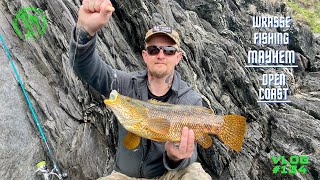 Wrasse Fishing MAYHEM  34 FishDREAM session  Lure and Bait Fishing  Vlog134 [upl. by Eldon594]