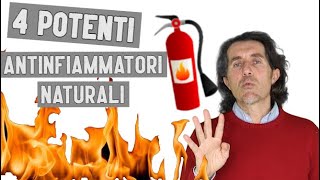 I 4 più potenti antinfiammatori naturali per lintestino [upl. by Nivrad628]