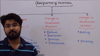 Mutation Types MolecularBiology CSIR NEET DBT GATE Lifesciences [upl. by Fife]