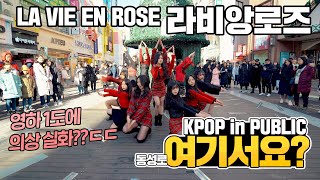 여기서요 아이즈원 IZONE  라비앙로즈 LA VIE EN ROSE  커버댄스 DANCE COVER  KPOP IN PUBLIC 동성로 [upl. by Penelopa182]