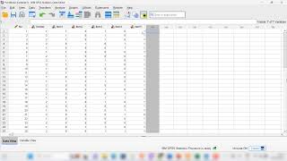 DETEKSI BIAS BUTIR DIF MENGGUNAKAN SPSS MAENTELHAENSZEL STATISTIC [upl. by Yuzik]