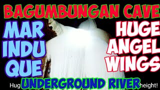 BAGUMBUNGAN CAVE  UNDERGROUND RIVER CAVE system in MARINDUQUE  LARGEST ANGEL WINGS [upl. by Etnahs618]