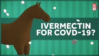 The Research on Ivermectin and Covid [upl. by Lehcor497]