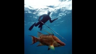 Spearfishing with Cameron Kirkconnell in the Exumas [upl. by Heloise]