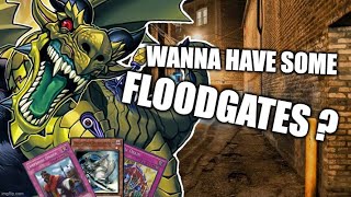 Amorphage  Yugioh TCG Deck Profile 2022 [upl. by Esra314]