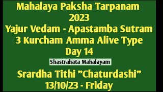 Mahalaya Paksham 23 Yajur Vedam Apastambam 3 Kurcham Amma Alive 131023 Fri  Tithi Chaturdashi [upl. by Aicirtan]