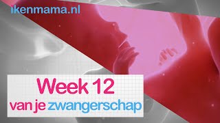 12 weken zwanger  ikenmamanl [upl. by Luapnoj]