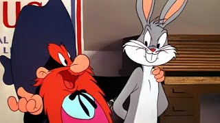 Looney Tunes Golden Collection S 01 E 12 B  BALLOT BOX BUNNY ‎LOOcaa [upl. by Zetana]