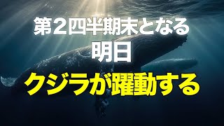 第２四半期末となる明日、クジラが躍動する [upl. by Desdamona]