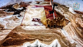 Satisfying Carpet Cleaning ASMR  Transforming Filthy Rugs into Fresh Masterpieces [upl. by Cirre]