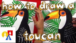 How To Draw A Realistic Toucan [upl. by Iphagenia912]