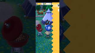 Animal crossingPocket Camp video55 [upl. by Crosley]