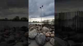 OneWheeling in Sarnia Canada [upl. by Nesila]