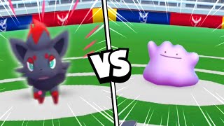 🌀 Ditto vs Zorua quotOhquot battle pokemon go [upl. by Einama922]